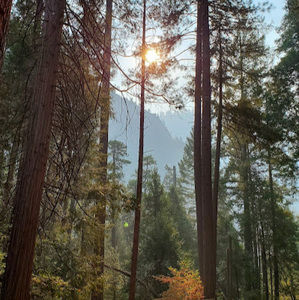 Meet your Posher, Cindy